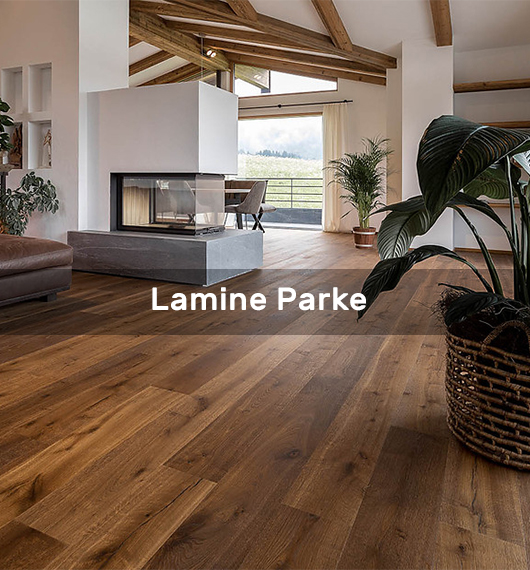 Lamine Parke